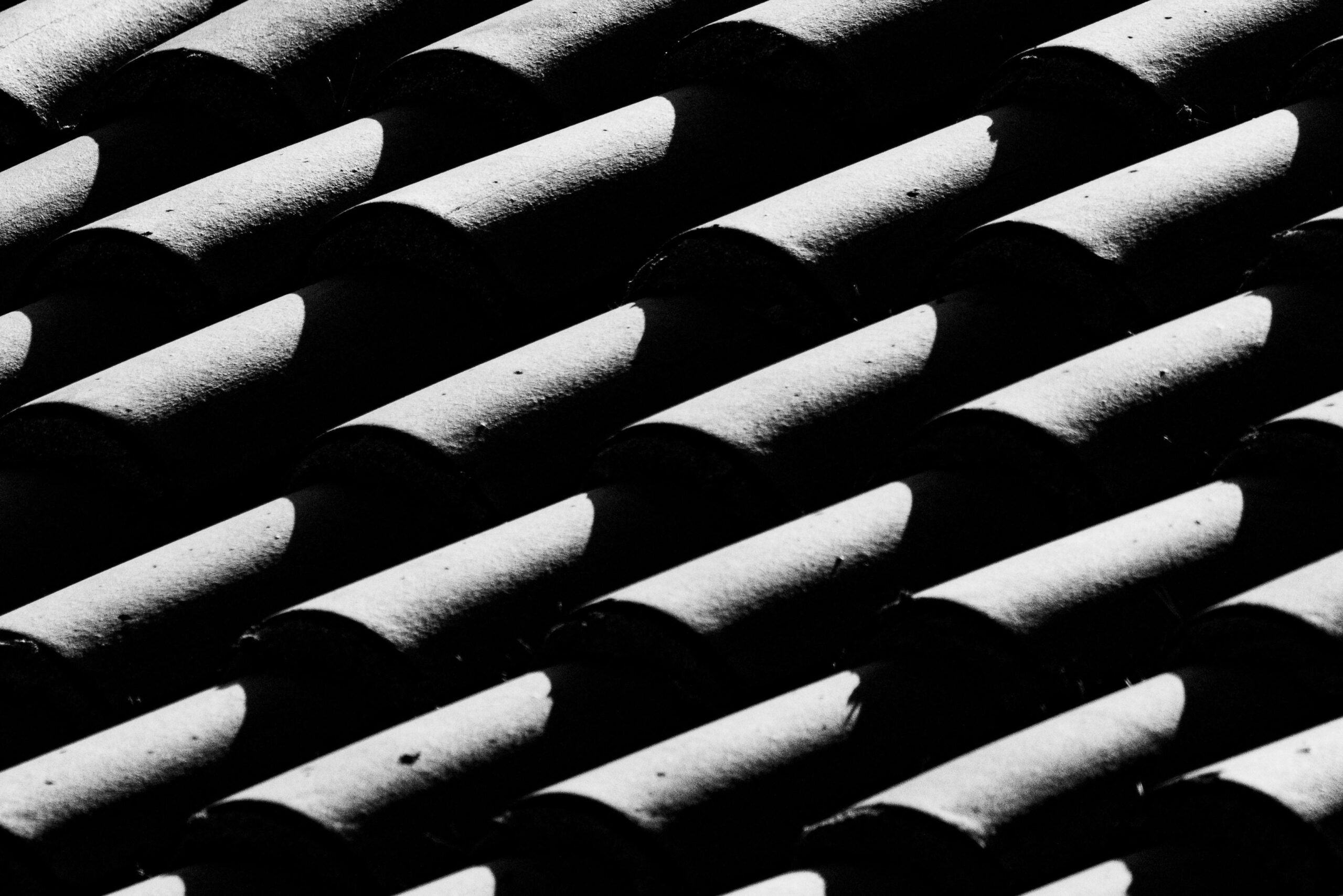 pexels-ninobur-16289735